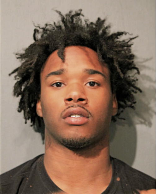 TRAVIS L MARTIN, Cook County, Illinois