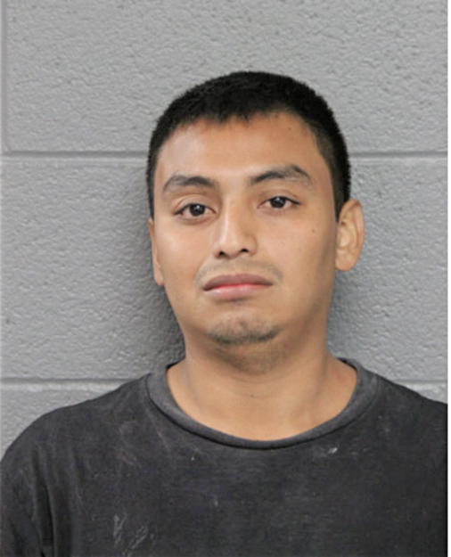 MIGUEL A MARTINEZ SALGADO, Cook County, Illinois