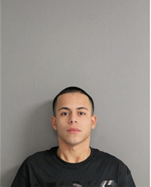 ALVIN I MENDEZ, Cook County, Illinois