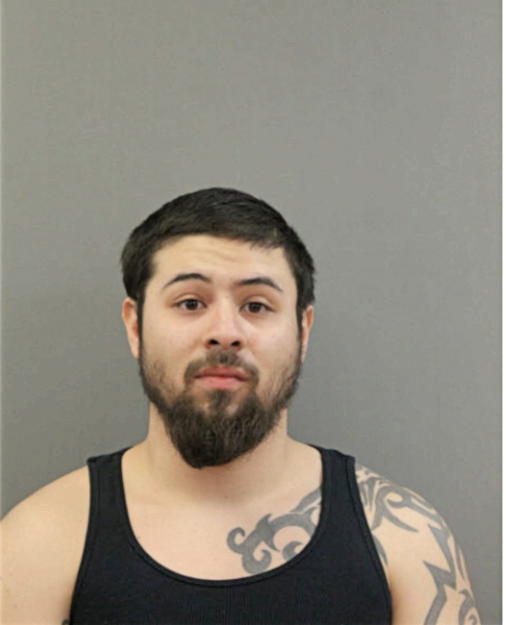 JOSEPH A PENA, Cook County, Illinois