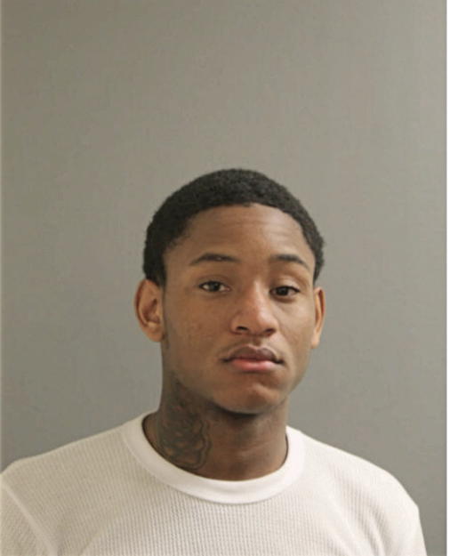 MATTHEW T PRIDE, Cook County, Illinois