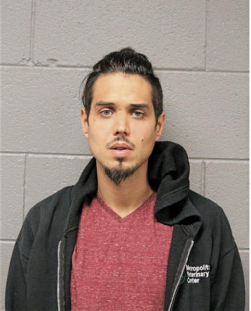 KYLE A RANKIN, Cook County, Illinois