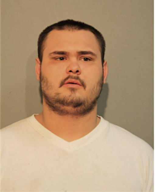 PABLO SOSA, Cook County, Illinois