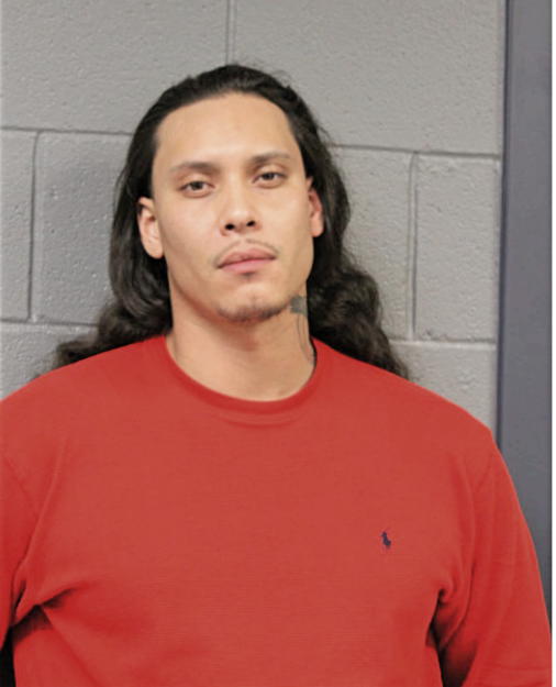 ANTHONY WILLIAMS, Cook County, Illinois