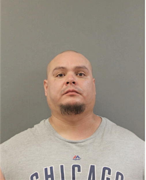 JOHN ANDREW ADAMES, Cook County, Illinois
