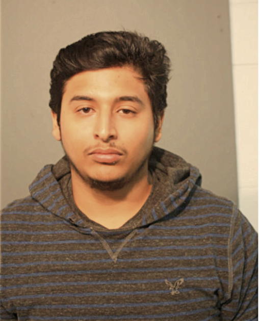 LUIS A ALVAREZ, Cook County, Illinois