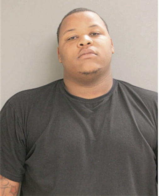 CAMERON ANDERSON, Cook County, Illinois