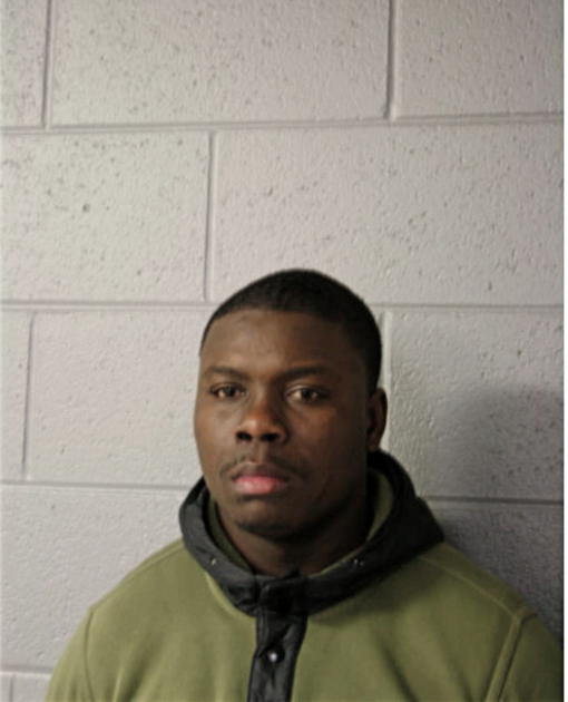 SEAN E BROWN, Cook County, Illinois