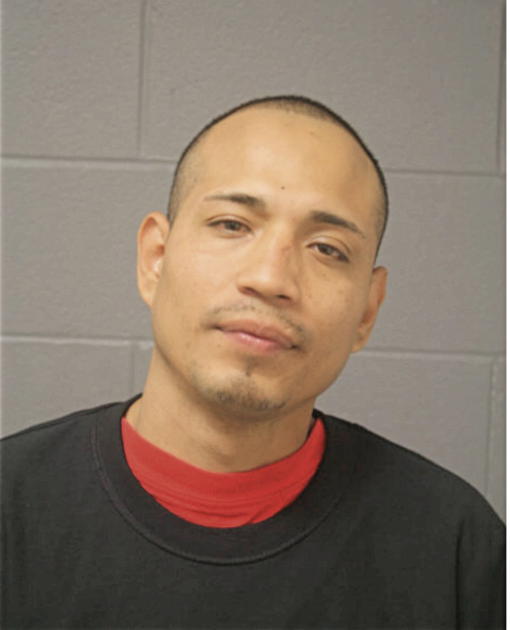 JORGE CERVANTES, Cook County, Illinois