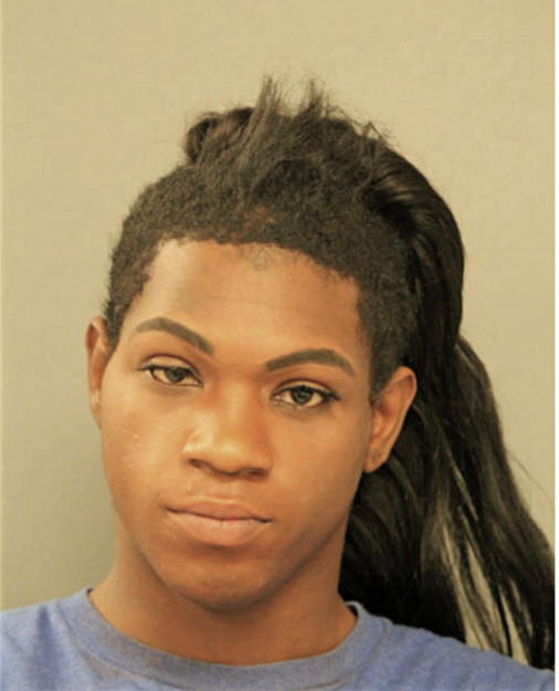 TERRY J CRAFT, Cook County, Illinois