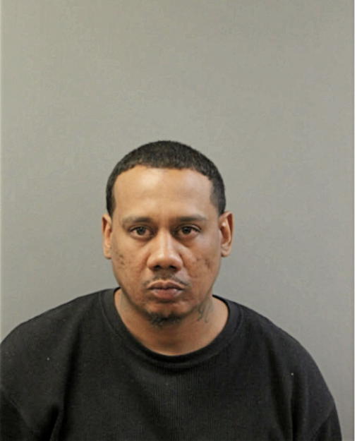 MICHAEL J DAWSON, Cook County, Illinois