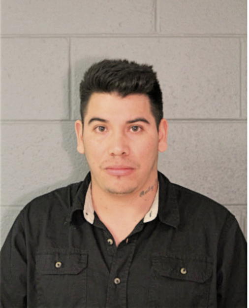 LUIS M DIAZ-RODRIGUEZ, Cook County, Illinois