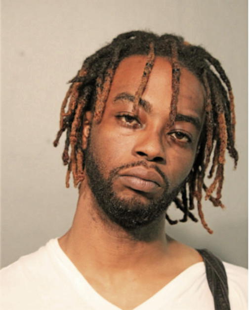DENNIS R DOLMO, Cook County, Illinois