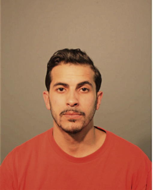 DAVID FELICIANO, Cook County, Illinois
