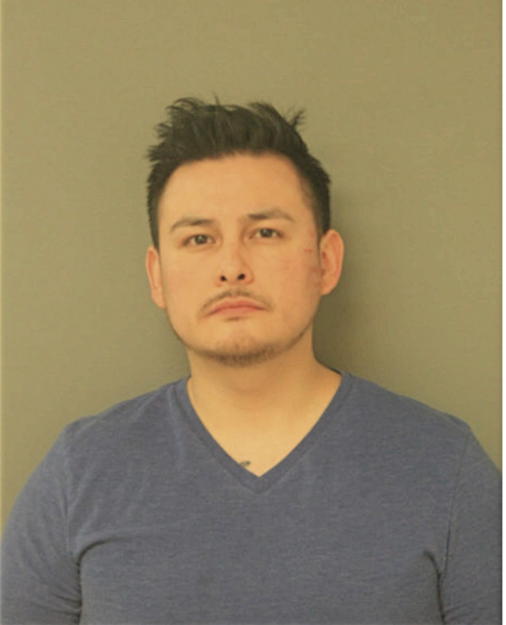 MARIO FIGUEROA, Cook County, Illinois