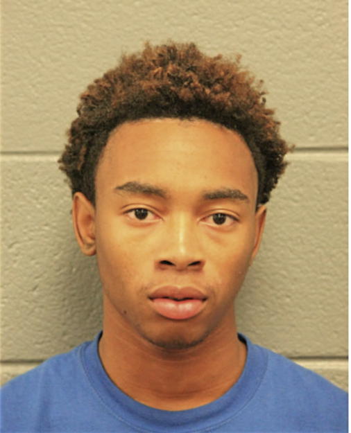 SHANNON R FRYE, Cook County, Illinois