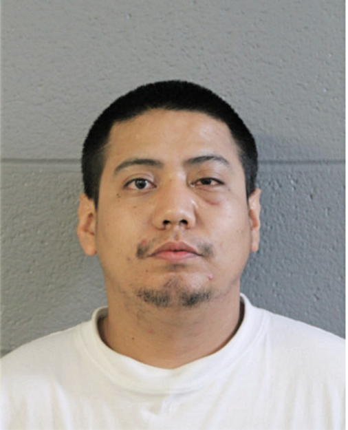 RICARDO GONZALES, Cook County, Illinois