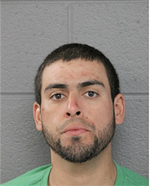 RICARDO TORRES GONZALEZ, Cook County, Illinois