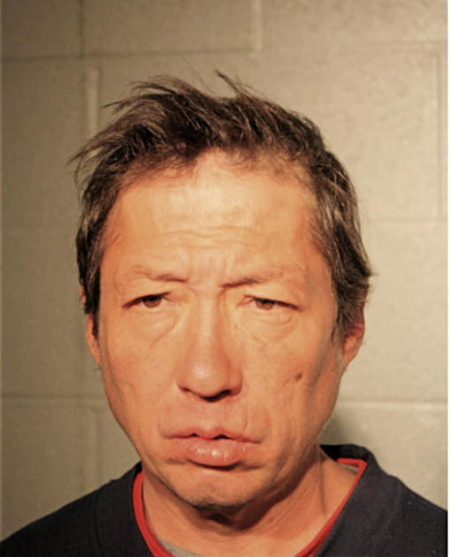 BOBBY C IDAKA, Cook County, Illinois