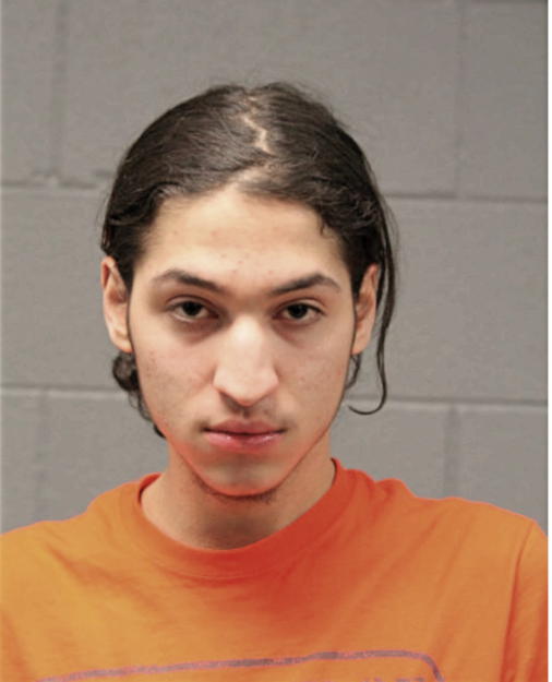 JUSTIN M LOZADA, Cook County, Illinois