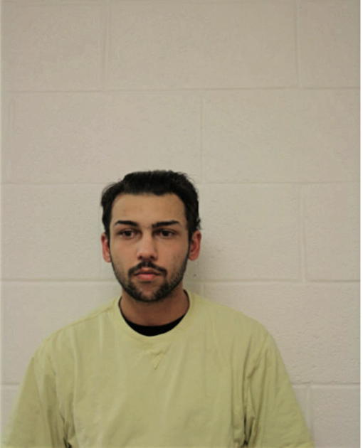 VINNIE E M NICHOLAS, Cook County, Illinois