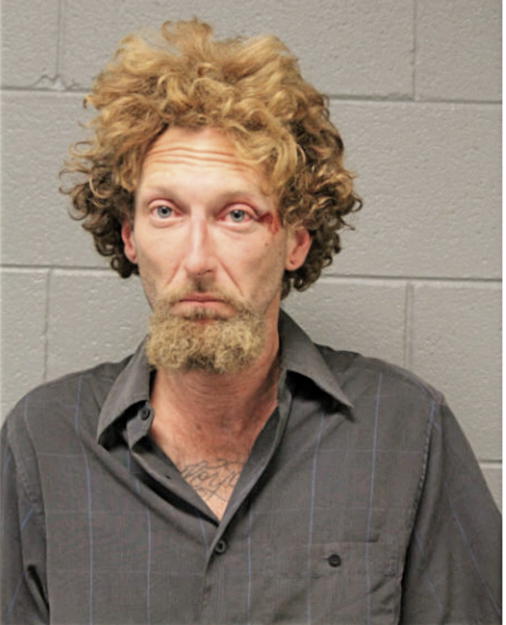 SEAN M MESSER, Cook County, Illinois