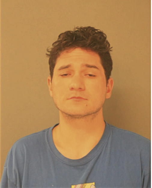 SIMON M MILLER, Cook County, Illinois