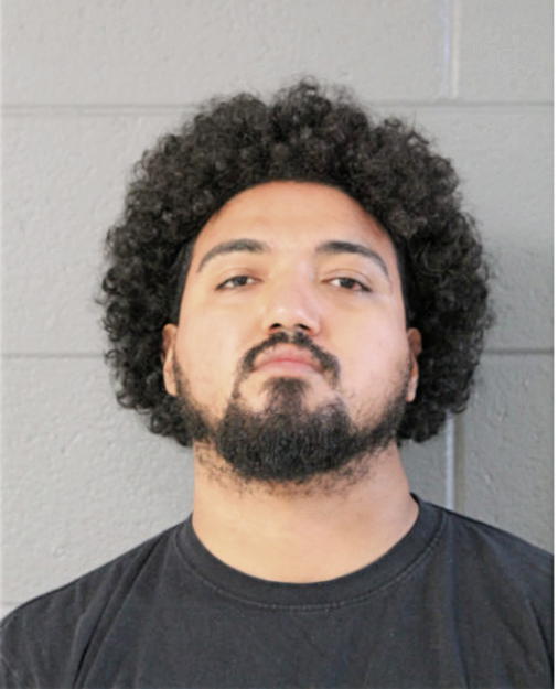 MIGUEL NAVA, Cook County, Illinois