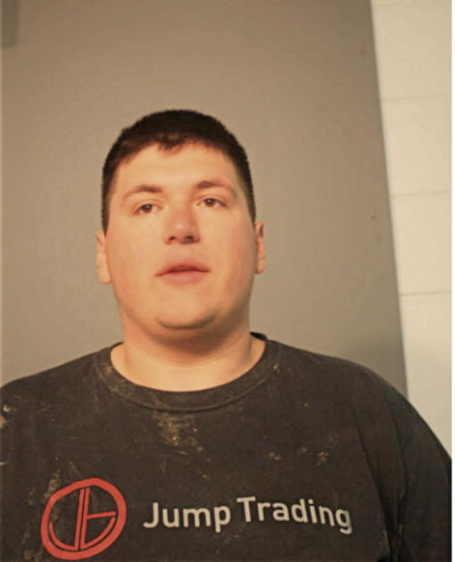 GRANT M NEWSOME, Cook County, Illinois