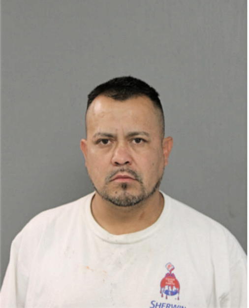 SERAFIN NIETO, Cook County, Illinois