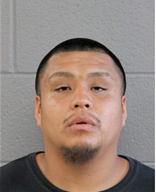 MANUEL PEDRO-MONTES, Cook County, Illinois