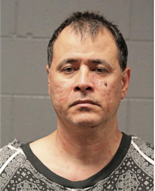 JOSE SEVERO QUINONES, Cook County, Illinois