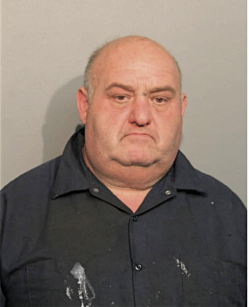 EFIM RABINOVITCH, Cook County, Illinois