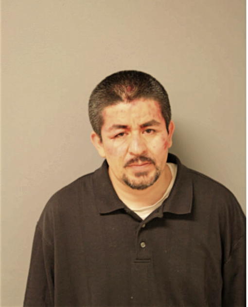 NICOLAS RAYA, Cook County, Illinois