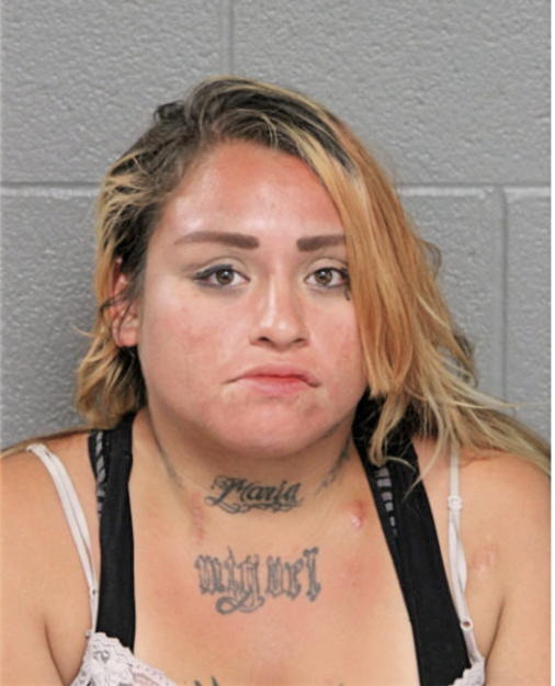 VIVIAN RODRIGUEZ, Cook County, Illinois