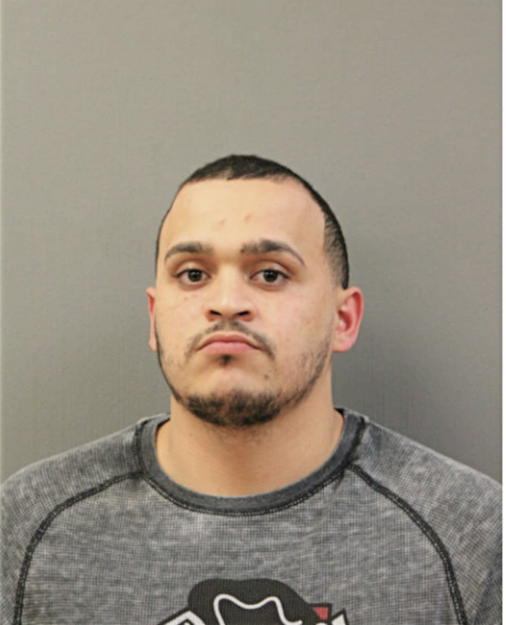 XAVIER R TORO, Cook County, Illinois