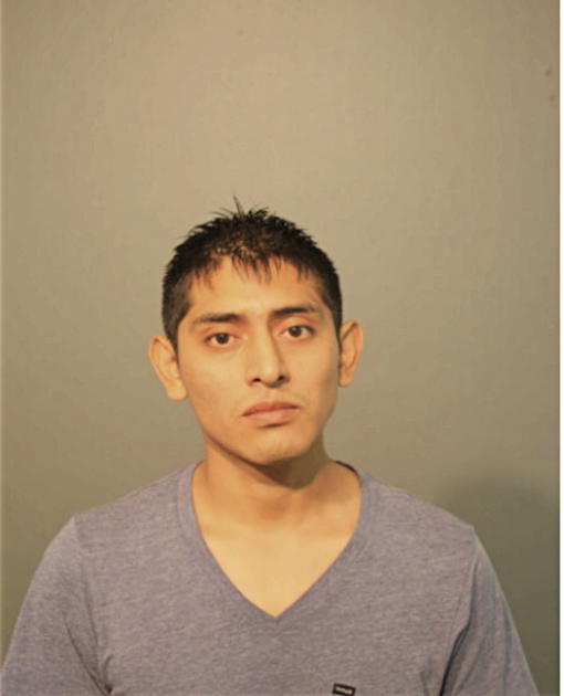 LUIS URUCHIMA, Cook County, Illinois