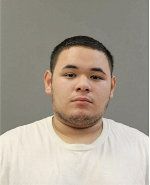 CARLOS M VEGA, Cook County, Illinois