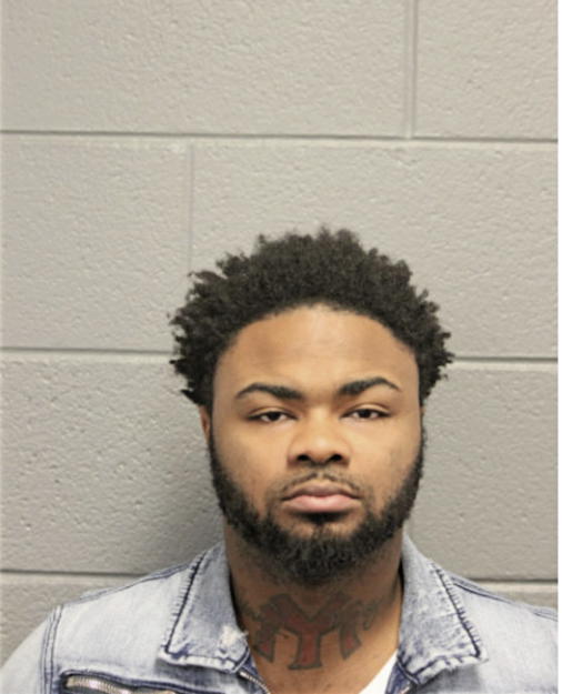 LIZZELE M WILLIAMS, Cook County, Illinois