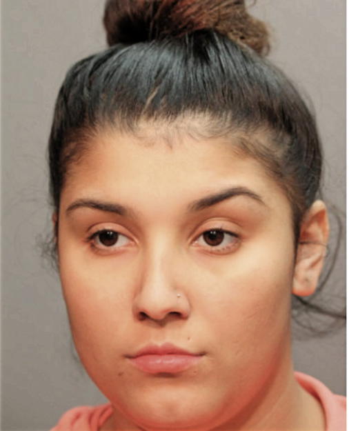 MARIA T APONTE, Cook County, Illinois