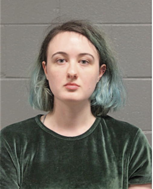 TAYLOR R BRADY, Cook County, Illinois