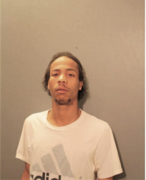 ANTHONY L BROWN, Cook County, Illinois