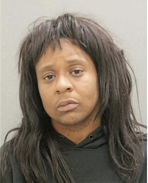 TAWANDA N CHIESTDER, Cook County, Illinois