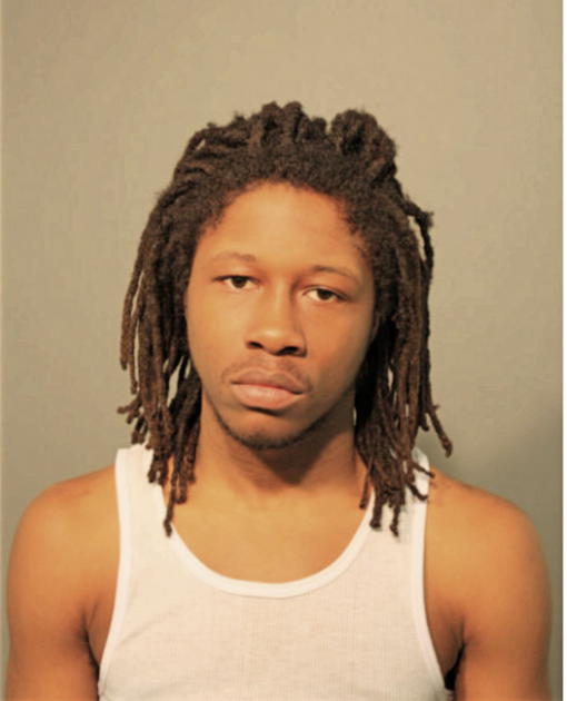 STEPHAN D DAVIS-WILLIAMS, Cook County, Illinois
