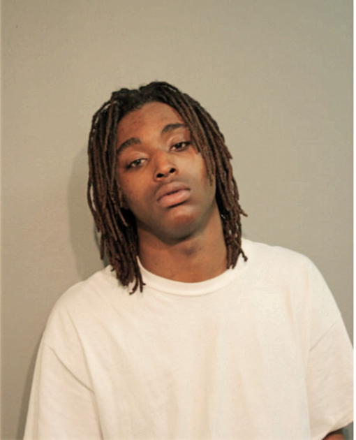 NATHAN EMERSON, Cook County, Illinois