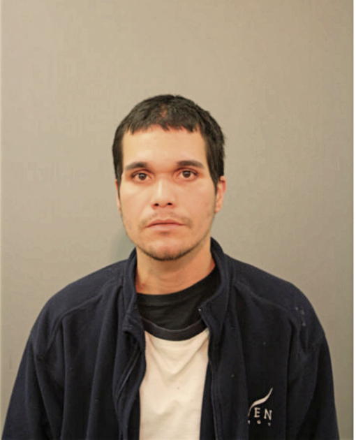GEOVEL FELICIANO, Cook County, Illinois