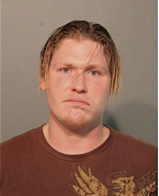 DAVID W FON, Cook County, Illinois