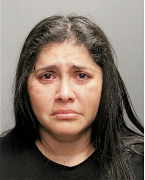 PATRICIA M FORTUNA BASAURI, Cook County, Illinois