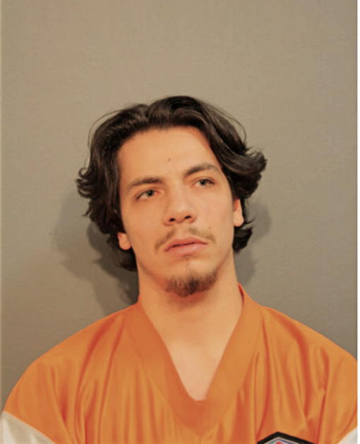 RYNE GALLEGOS, Cook County, Illinois