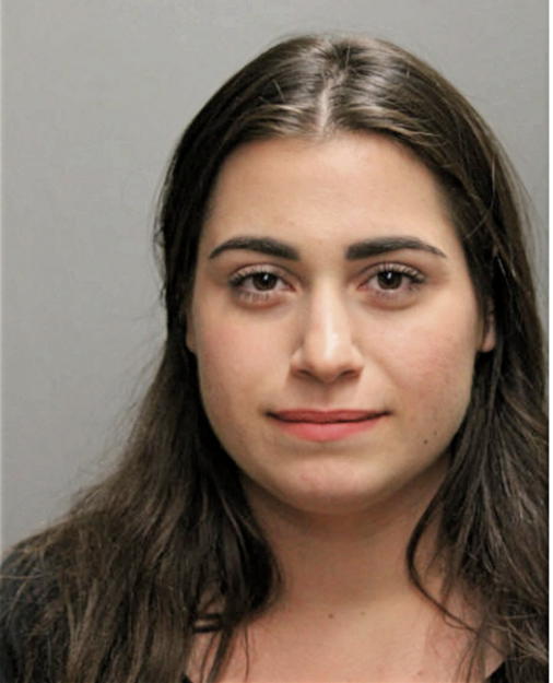 CAITLIN M HONEIN, Cook County, Illinois